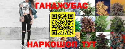 бошки Славгород