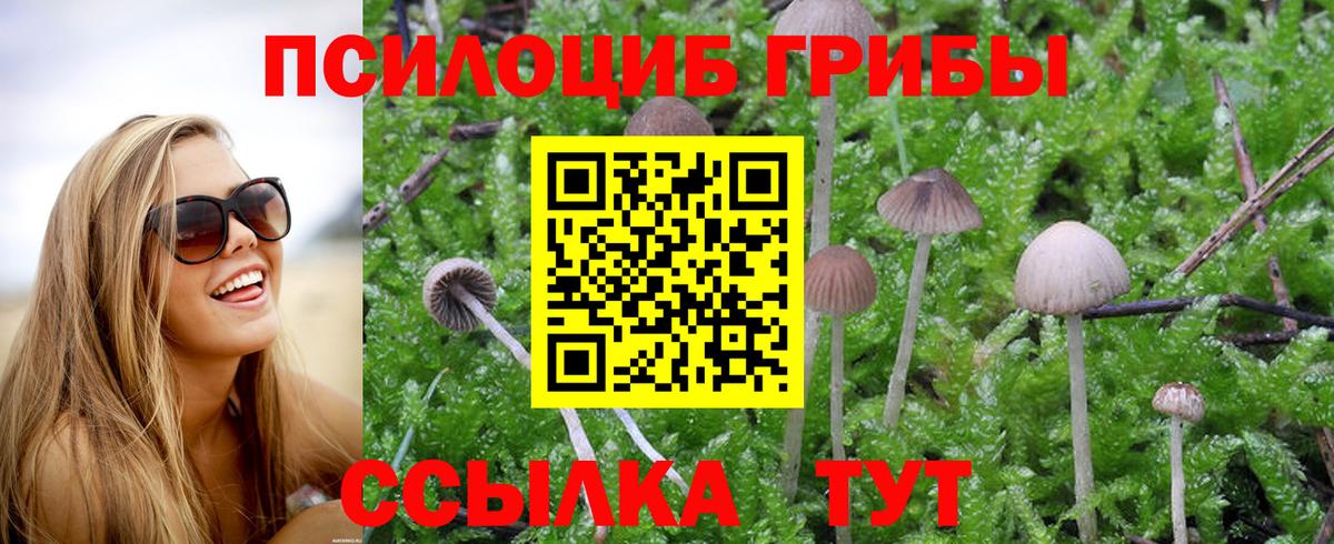 Симферополь  Псилоцибиновые грибы мухоморы  Вход с VPN 